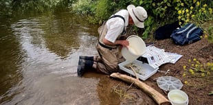 Volunteers tackle river Chew's 'ecological crisis'